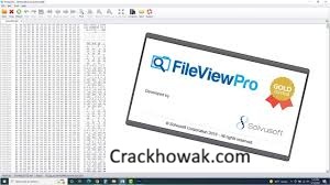 FileViewPro v1.9.8.23 Crack + License Key [2026] Free Download